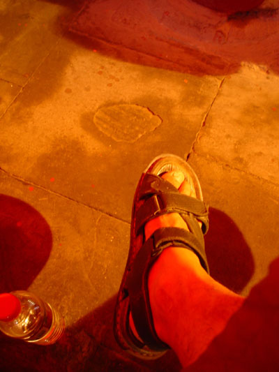DSC03729.jpg